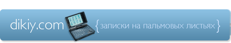 dikiy.com